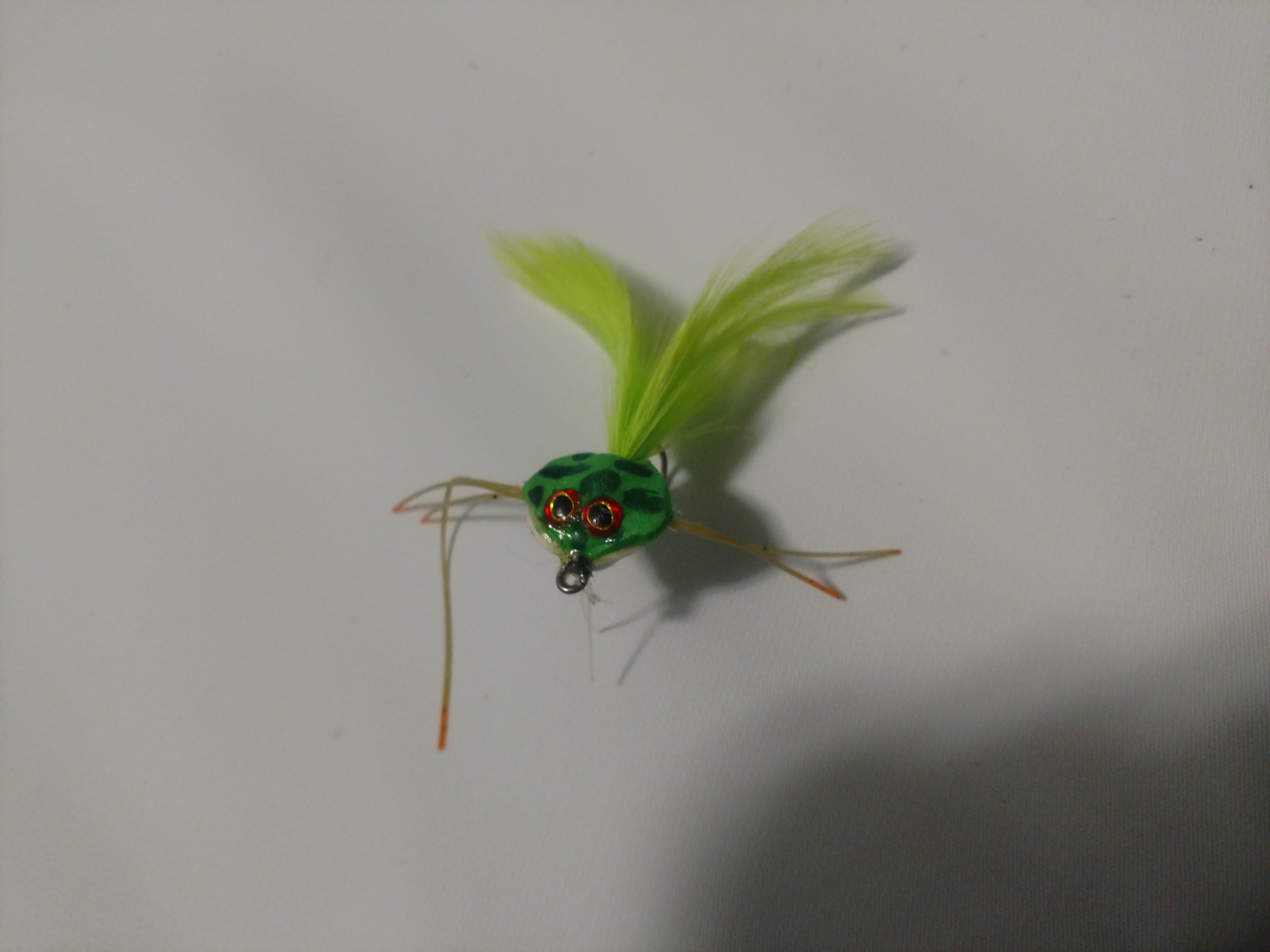 Frog Fly  Dedicated To The Smallest Of Skiffs