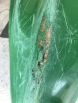 Green Leaf Spider web Insect Invertebrate