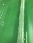 Green Water Leaf Grass Photography